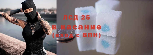 шишки Наволоки
