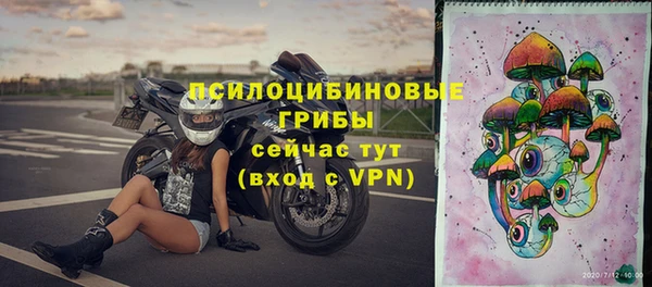 шишки Наволоки