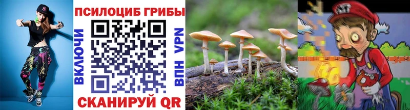 Галлюциногенные грибы Cubensis  Батайск 