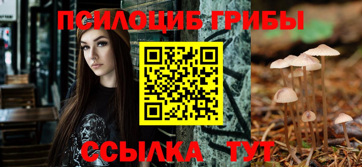 Псилоцибиновые грибы мицелий Батайск