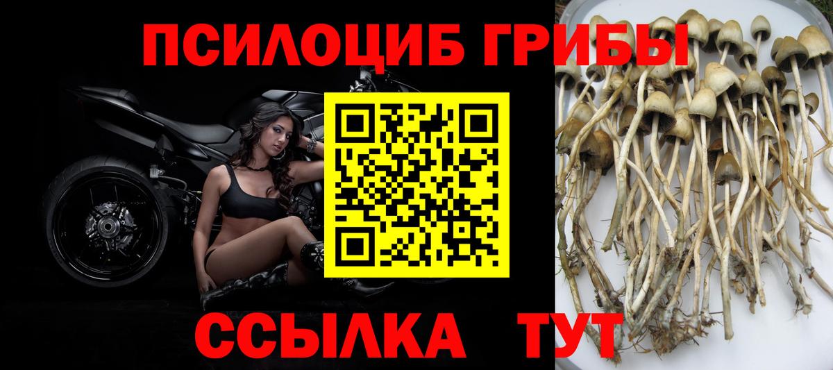 Псилоцибиновые грибы GOLDEN TEACHER  Вход с VPN  Батайск 